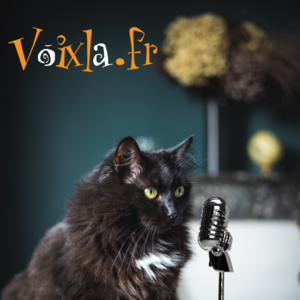 L'OUTIL INDISPENSABLE Chat c'est VOIX LA