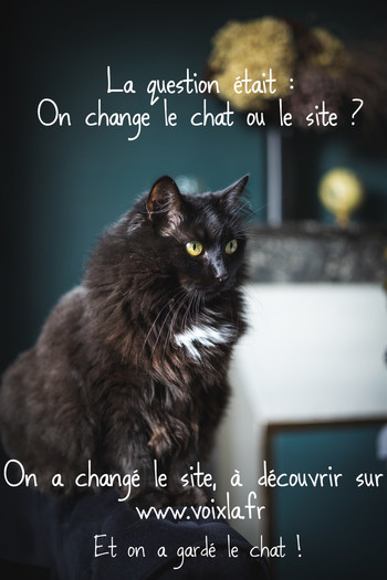 VOIX LA VOIX LA