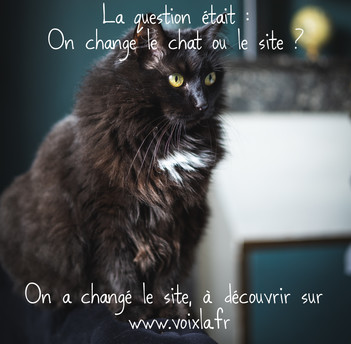 Site ou Chat ?